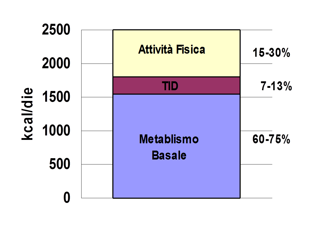 consumo calorico