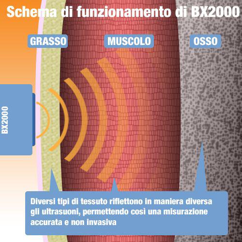 Adipometro (schema di funzionamento)